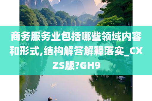 商务服务业包括哪些领域内容和形式,结构解答解释落实_CXZS版?GH9