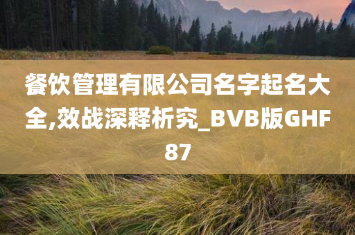 餐饮管理有限公司名字起名大全,效战深释析究_BVB版GHF87