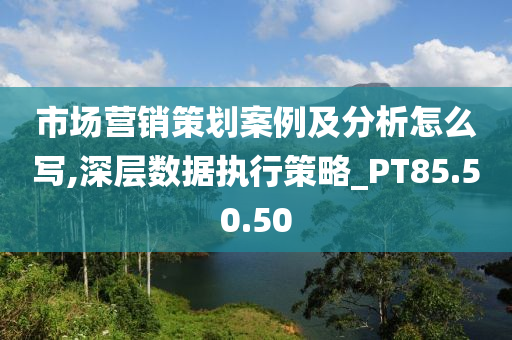 市场营销策划案例及分析怎么写,深层数据执行策略_PT85.50.50