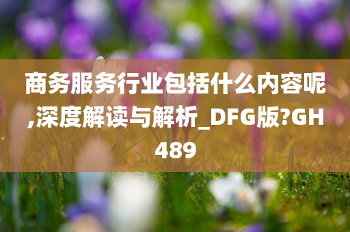 商务服务行业包括什么内容呢,深度解读与解析_DFG版?GH489