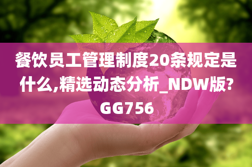 餐饮员工管理制度20条规定是什么,精选动态分析_NDW版?GG756