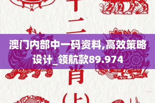 澳门内部中一码资料,高效策略设计_领航款89.974