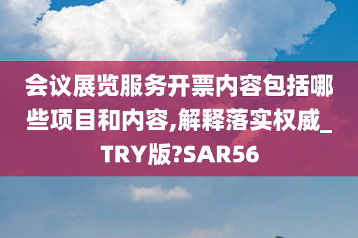 会议展览服务开票内容包括哪些项目和内容,解释落实权威_TRY版?SAR56