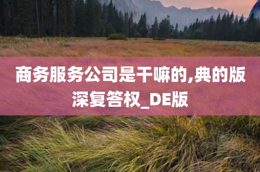 商务服务公司是干嘛的,典的版深复答权_DE版