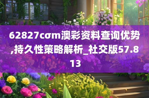 62827cσm澳彩资料查询优势,持久性策略解析_社交版57.813