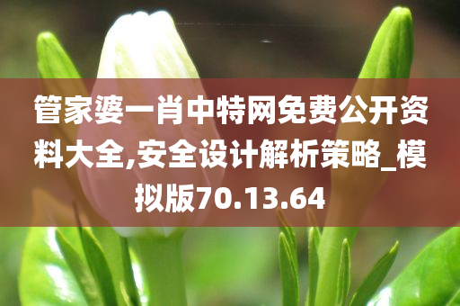 管家婆一肖中特网免费公开资料大全,安全设计解析策略_模拟版70.13.64