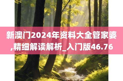 新澳门2024年资料大全管家婆,精细解读解析_入门版46.76