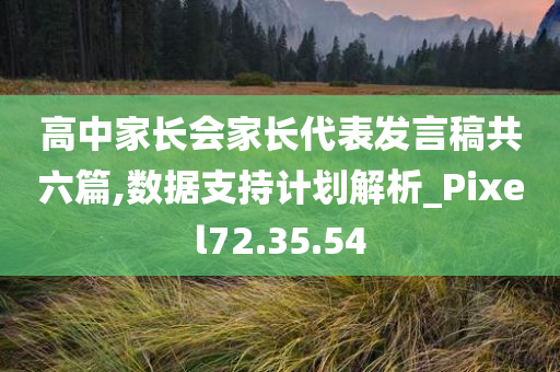 高中家长会家长代表发言稿共六篇,数据支持计划解析_Pixel72.35.54