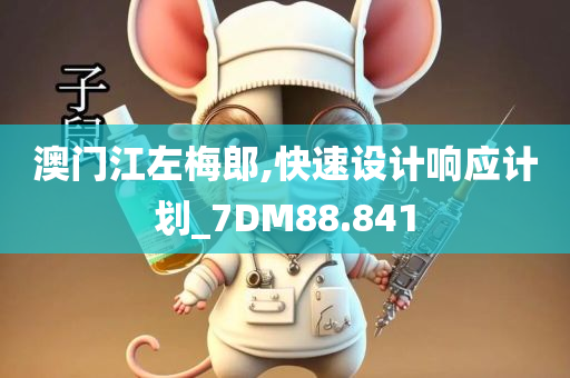 澳门江左梅郎,快速设计响应计划_7DM88.841