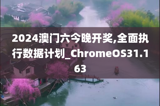 2024澳门六今晚开奖,全面执行数据计划_ChromeOS31.163