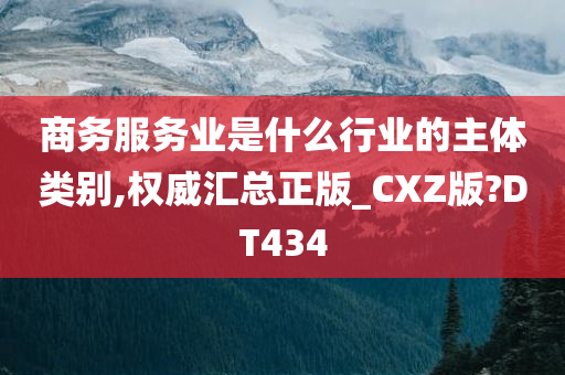 商务服务业是什么行业的主体类别,权威汇总正版_CXZ版?DT434