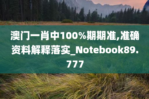 澳门一肖中100%期期准,准确资料解释落实_Notebook89.777