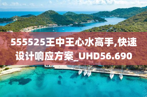 555525王中王心水高手,快速设计响应方案_UHD56.690