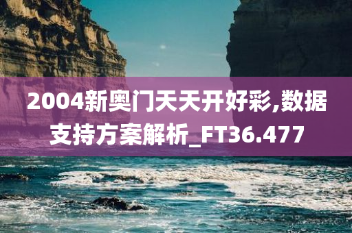 2004新奥门天天开好彩,数据支持方案解析_FT36.477