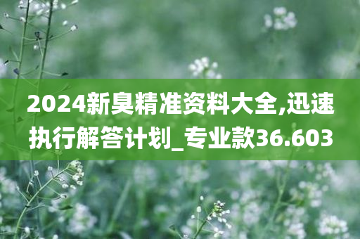 2024新臭精准资料大全,迅速执行解答计划_专业款36.603