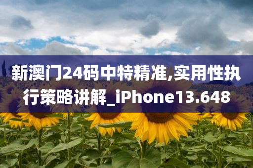 新澳门24码中特精准,实用性执行策略讲解_iPhone13.648