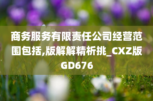 商务服务有限责任公司经营范围包括,版解解精析挑_CXZ版GD676