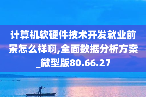 计算机软硬件技术开发就业前景怎么样啊,全面数据分析方案_微型版80.66.27