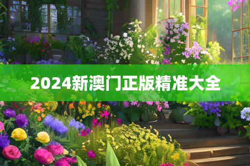 2024新澳门正版精准大全