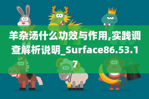 羊杂汤什么功效与作用,实践调查解析说明_Surface86.53.17