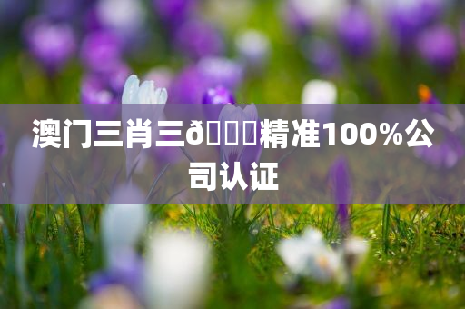 澳门三肖三🐎精准100%公司认证