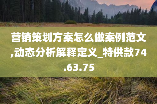 营销策划方案怎么做案例范文,动态分析解释定义_特供款74.63.75