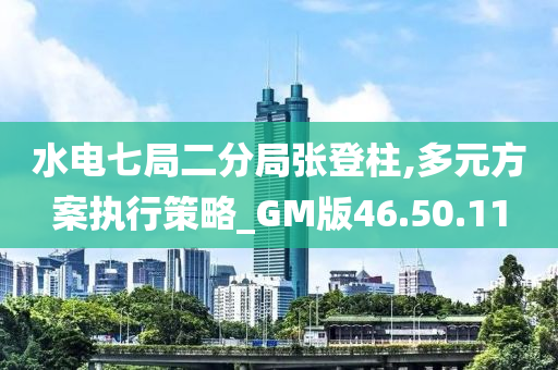 水电七局二分局张登柱,多元方案执行策略_GM版46.50.11