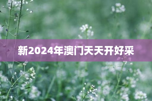 新2024年澳门天天开好采