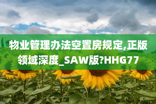 物业管理办法空置房规定,正版领域深度_SAW版?HHG77