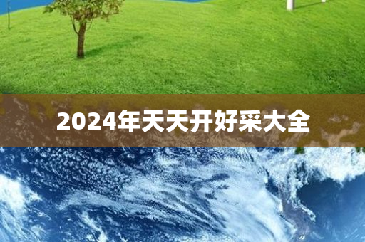 2024年天天开好采大全