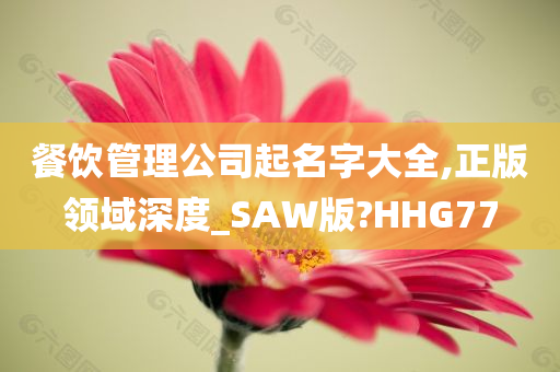 餐饮管理公司起名字大全,正版领域深度_SAW版?HHG77