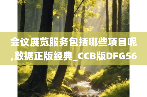 会议展览服务包括哪些项目呢,数据正版经典_CCB版DFG56