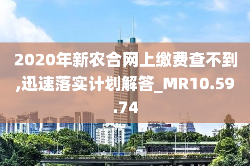 2020年新农合网上缴费查不到,迅速落实计划解答_MR10.59.74