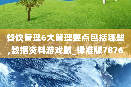 餐饮管理6大管理要点包括哪些,数据资料游戏版_标准版7876