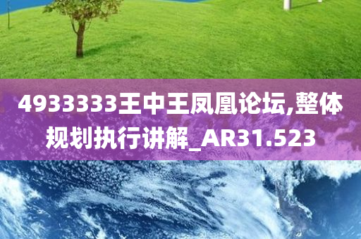 4933333王中王凤凰论坛,整体规划执行讲解_AR31.523