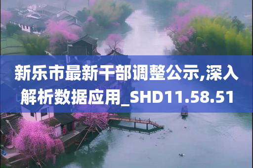 新乐市最新干部调整公示,深入解析数据应用_SHD11.58.51