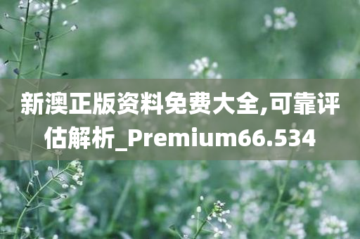 新澳正版资料免费大全,可靠评估解析_Premium66.534