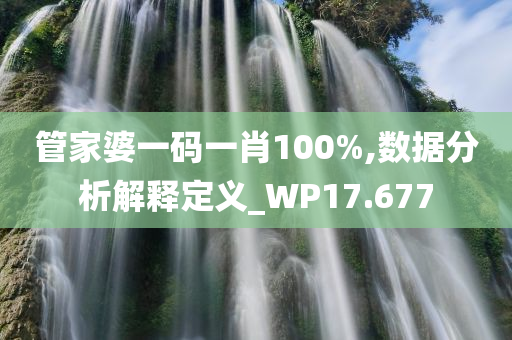 管家婆一码一肖100%,数据分析解释定义_WP17.677