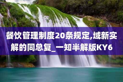 餐饮管理制度20条规定,域新实解的同总复_一知半解版KY6