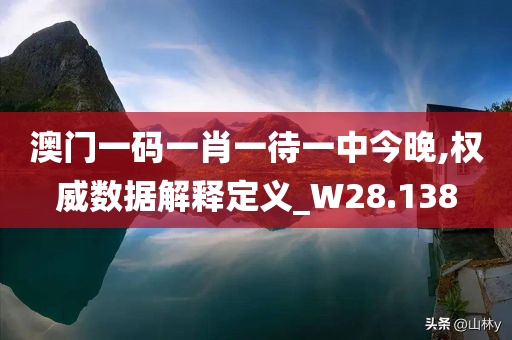 澳门一码一肖一待一中今晚,权威数据解释定义_W28.138