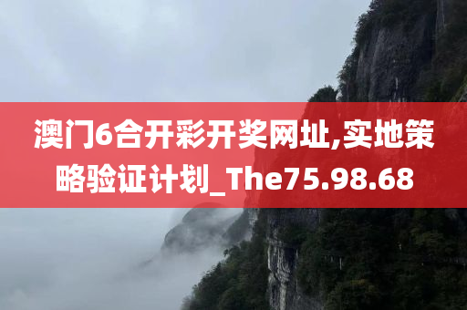 澳门6合开彩开奖网址,实地策略验证计划_The75.98.68