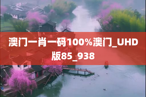 澳门一肖一码100%澳门_UHD版85_938