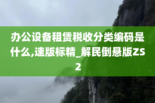 办公设备租赁税收分类编码是什么,速版标精_解民倒悬版ZS2