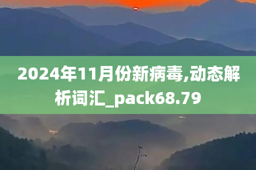 2024年11月份新病毒,动态解析词汇_pack68.79