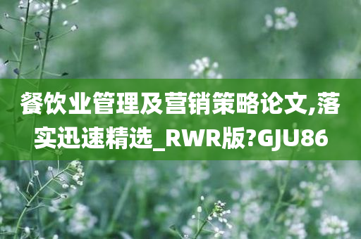 餐饮业管理及营销策略论文,落实迅速精选_RWR版?GJU86