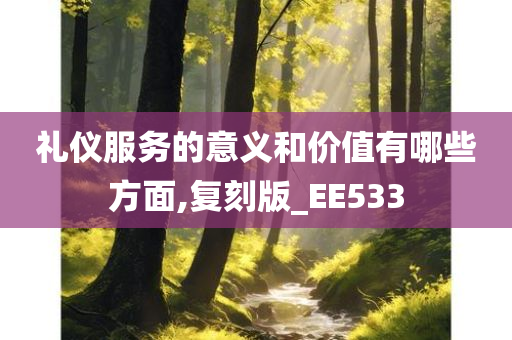 礼仪服务的意义和价值有哪些方面,复刻版_EE533