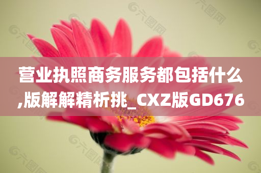 营业执照商务服务都包括什么,版解解精析挑_CXZ版GD676