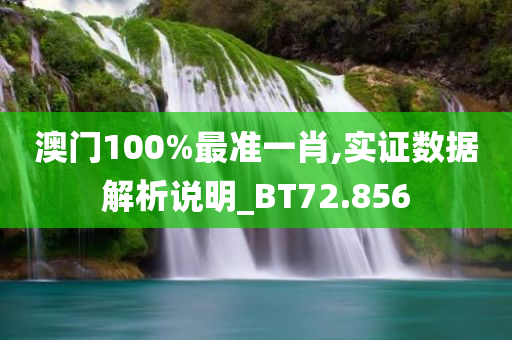 澳门100%最准一肖,实证数据解析说明_BT72.856