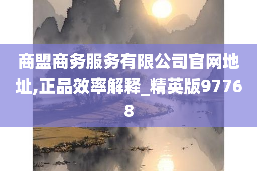 商盟商务服务有限公司官网地址,正品效率解释_精英版97768