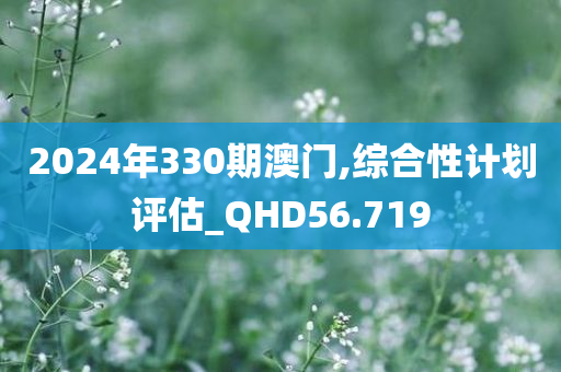 2024年330期澳门,综合性计划评估_QHD56.719